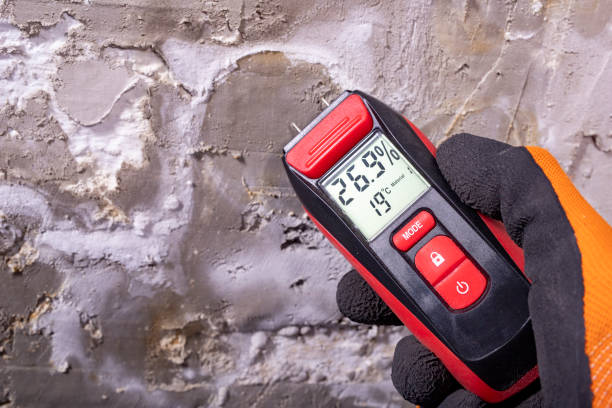 Best Crawl Space Mold Removal  in Richmond Hill, GA