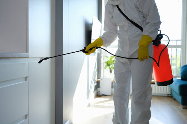 Best Mold Damage Repair  in Richmond Hill, GA