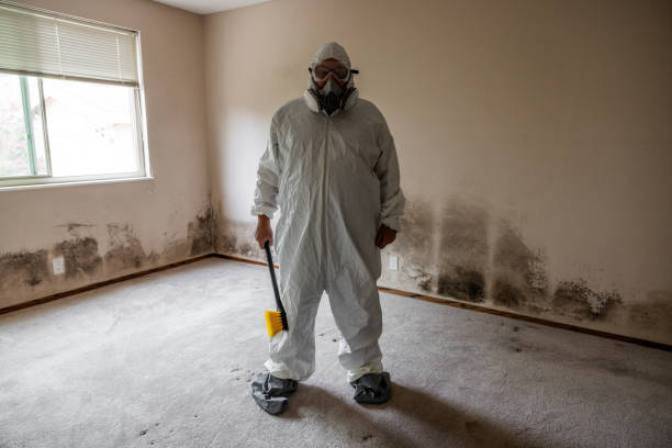 Best Mold Removal Company Near Me  in Richmond Hill, GA