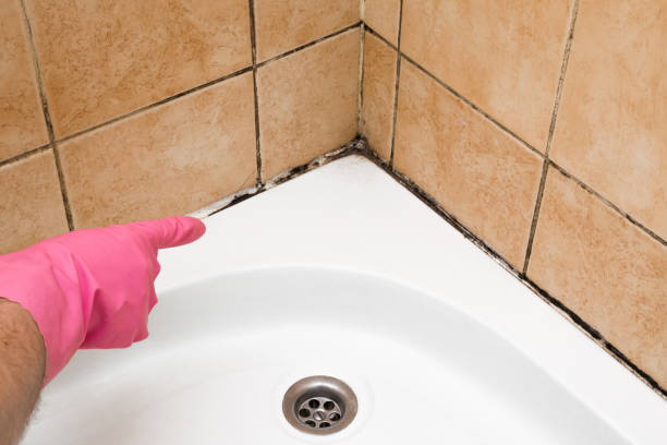 Best Local Mold Removal Service  in Richmond Hill, GA